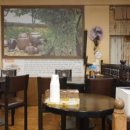 마마국시집 이미지