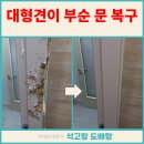 석 동물병원 | 동물병원 문짝 문틀 복구 대형견 물어뜯었을때