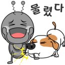 용인대대영태권도 이미지