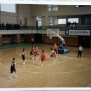 시그니아독일보청기인천점 이미지