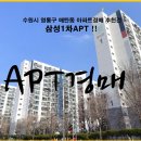수원-0124 티스토리