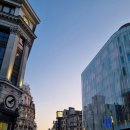 대영24세차타운 | 영국 자유여행 후기 런던 4박 5일 일정 총정리 옥스포드 브라이튼 근교까지