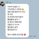 레이즈미 | 더보이즈 콘서트 더블레이즈 내돈내산 후기 (막콘)