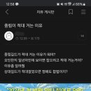 속보) 오딘4섭 성채 막피범 "이레즈미" 카페에서 징징 중 이미지