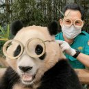 야우농장 이미지