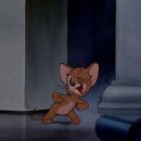 베가 | 🚙 르노 필랑트 신차패키지｜더 스미스 베가 썬팅 + Z9900 블랙박스 시공 후기