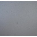 제이제이모터스 이미지