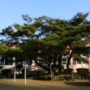 이산초등학교 이미지