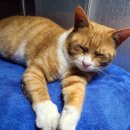 화곡4동 이미지