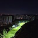 캐슬렉스CC서울 새벽 라운딩 리얼후기｜이동 편하고 전망 좋은 골프장