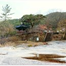 원동향약 이미지