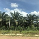 동남바이오농장 이미지