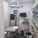 오거리동물병원 이미지