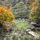 세심자연휴양림 이미지