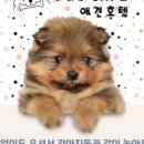 남포아지트 이미지