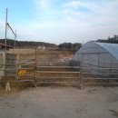 금란농장 이미지