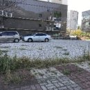대지사진관 네이버블로그