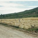 쑥고개길 이미지