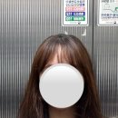 탑헤어(TOP-hair) 네이버블로그