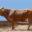 개량농장 이미지