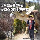타이거 댄 태권도 | 경기도 아이와 가볼만한곳 덕평공룡수목원 (1탄, 등산 이야기)