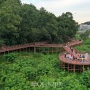 울산베스트피부과의원 투어코리아
