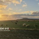 거라지21 | 아이슬란드 숙소 후기 프롤로그, 25년 10월 링로드 반시계 일주 숙소, 가격, 종합 후기