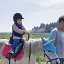 토이파크뮤지엄 이미지