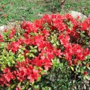 덕진초등학교 이미지