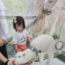 애니멀스쿨 -면양, 앵무새,밀웜🐑🦜🐛 이미지