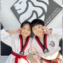 늘푸른 경희대 태권도장 이미지