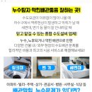 퀸스타운의원 이미지