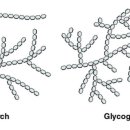 반포고등학교 이미지