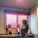 스테이 패스포트 홍콩 고성점 이미지