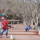 수승대관광지 야영데크 이미지