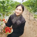 정명진농장 이미지