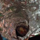 팔봉청삼골 돌배마을 이미지