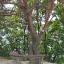 이천농업테마공원 한옥 이미지