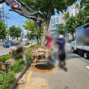 (주)수목조경 이미지