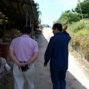 왕곡농장 이미지