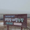 한화농장 | 아이와 가볼만한 곳｜보령팜 딸기체험 &amp; 딸기케이크 만들기 후기
