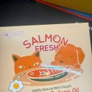 강아지스푼 이미지