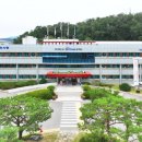 캠프보산 월드푸드스트리트 이미지