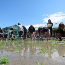 양덕분교 이미지