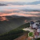 오투리조트 C.C 네이버블로그