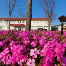 경북대학교자연사박물관 이미지