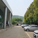 청소년수련관(옆) 이미지