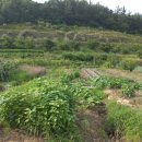 영천남부공인중개사사무소 이미지