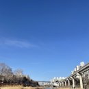 태전도장 | 태전동 카페 마고노더니스 마고플레인태전점