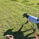 광려천 힐링산책로 이미지